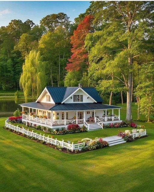 عماد ابو الرب